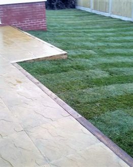 grass and patio area