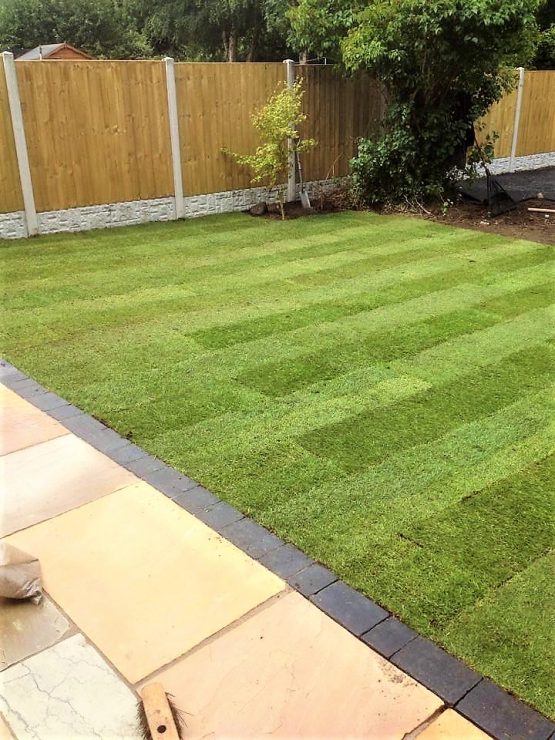 Turf and grass Ace of Spades